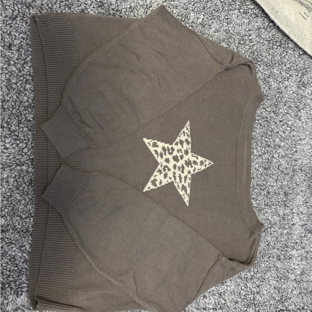Hollister Brown Sweater with Leopard Star